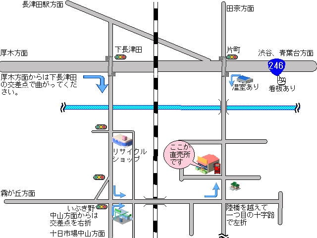 近くからのイラスト地図